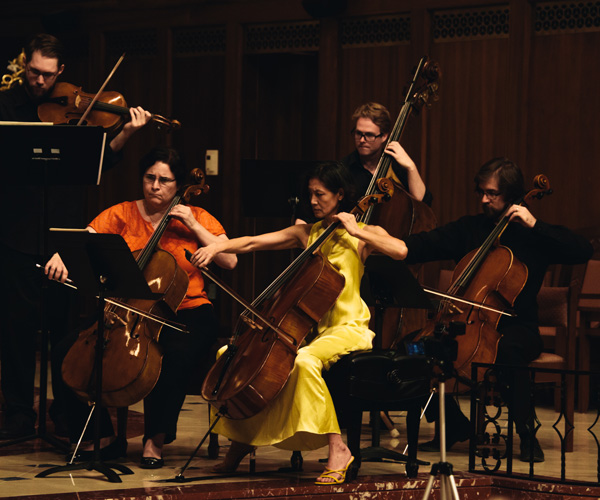 SAMF Performance Cellos